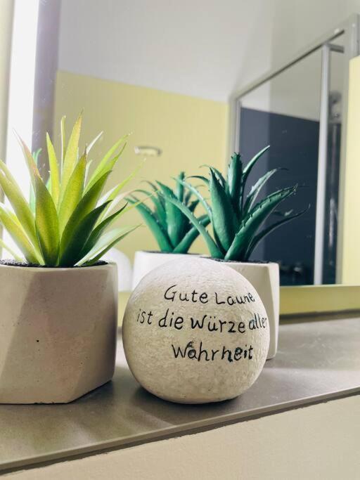 Fewo 20 - Appartement Im Rottalblick - Youngmodern Wohnen, Tiere Willkommen, Bademantelgang Zur Therme, Tv Und Balkon Bad Griesbach (Bavaria) Zewnętrze zdjęcie
